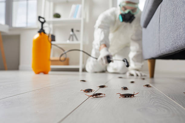 Trusted Fumigation Services service in Shoreline, WA - Nex Pest Control