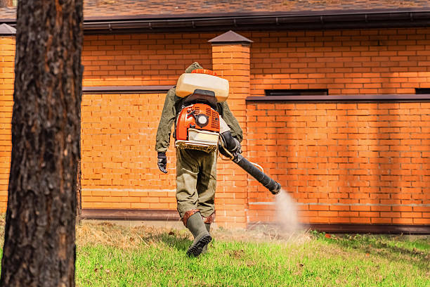 Trusted Ant Control service in Shoreline, WA - Nex Pest Control